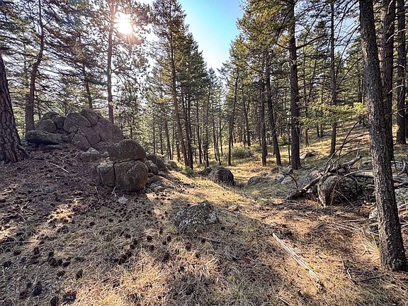 2nd image of 93 Saddle Mountain Dr