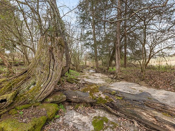 5th image of 0 Cothran Rd