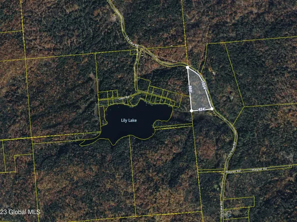 L 000 Lily Lake Road, Gloversville, NY 12078