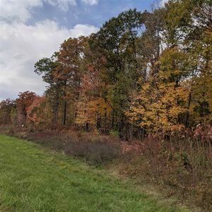 000 County Road X, Cadott, WI, 54727