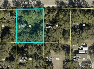4242 E 25th St, Alva, FL 33920