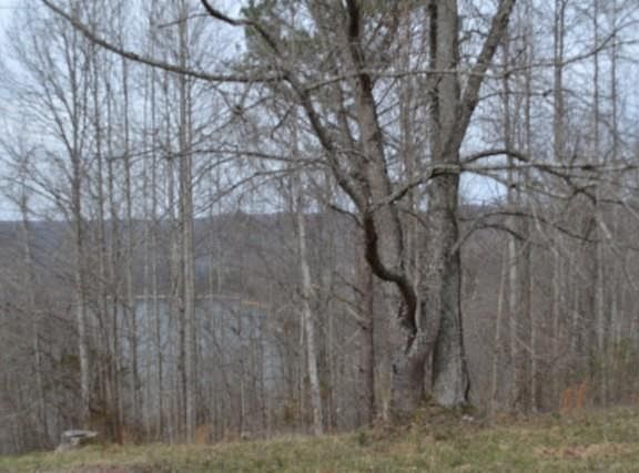 2nd image of Lots 4&5 Fox Hill Rd