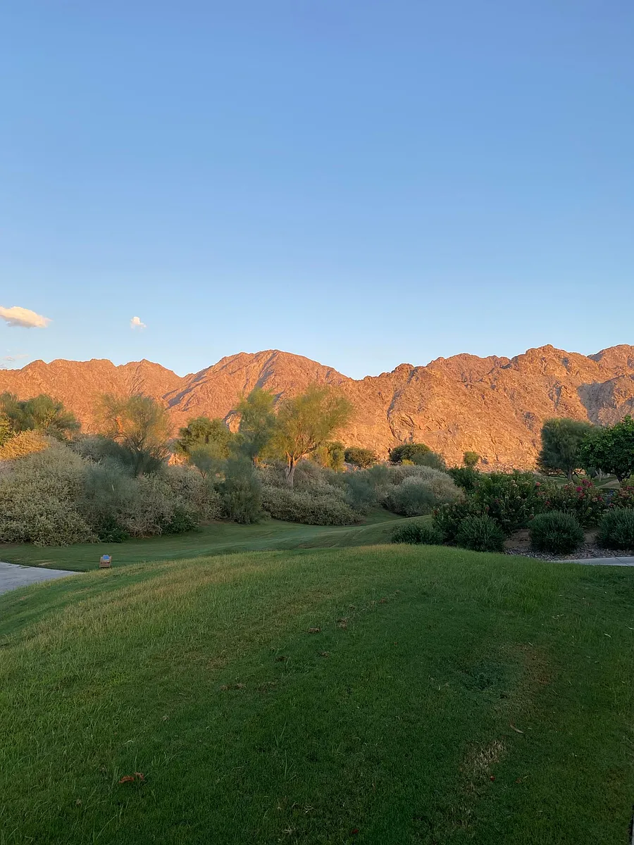 View from back patio and living room
Pure nature view - 56585 Riviera