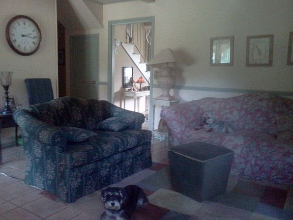 Den (fireplace not visible)