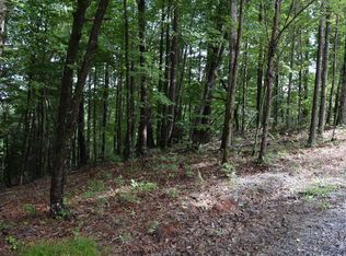 369 Summit Dr, Ellijay, GA 30536