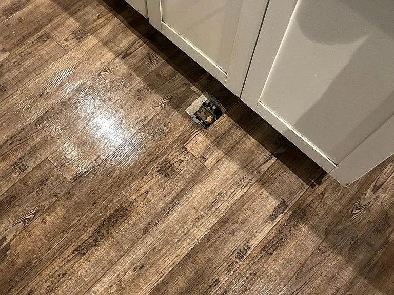 Wood floor