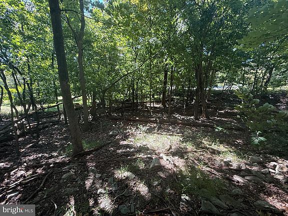 4th image of 73 Mountain Rise Dr