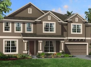 10731 Breaking Rocks Dr, Tampa, FL 33647