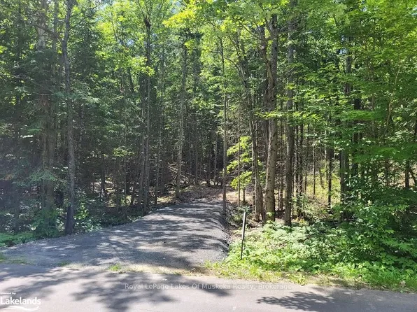 LOT 5 Fairy Falls Rd, Lake Of Bays, ON P0B 1A0