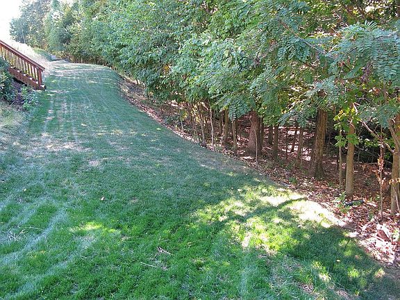 Lower Yard