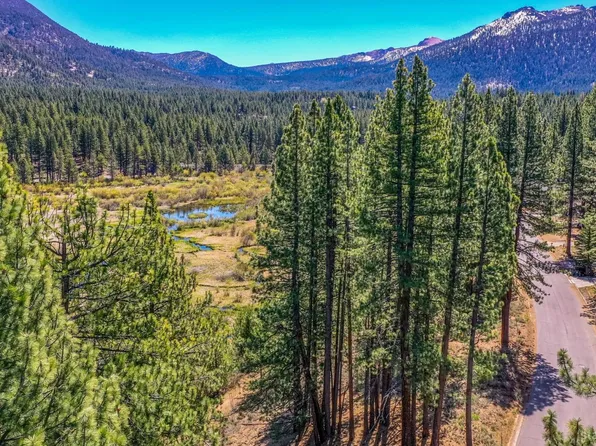 1609 Plateau Cir, South Lake Tahoe, CA 96150