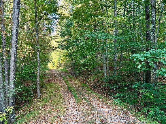 4th image of 0 Chenoweth Fork Rd