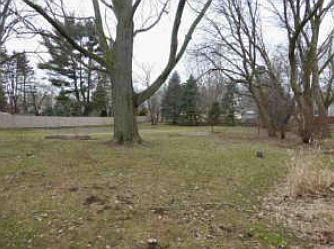 Yard View # 2