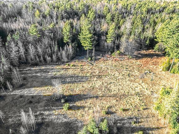 3rd image of 44 N Greenleaf Woods Lane