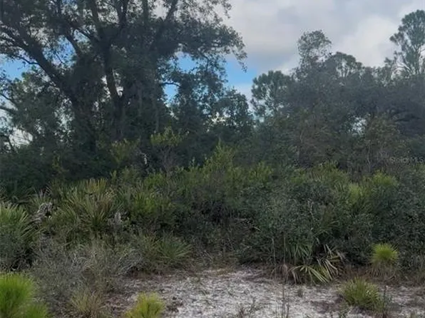 3513 TURIN STREET LOT 4, LAKE PLACID, FL 33852