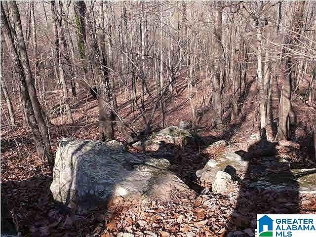 1st image of 5620 S Shades Crest Rd #1