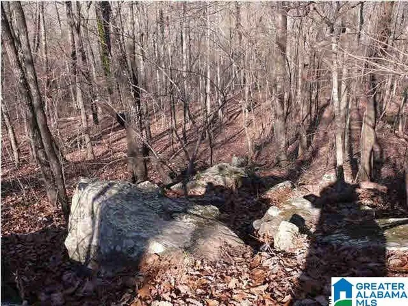 5620 S Shades Crest Rd #1, Bessemer, AL 35022