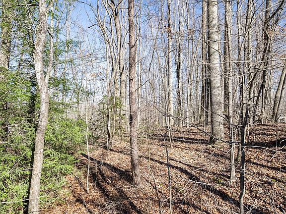 4th image of 0 Old Altamont Rd