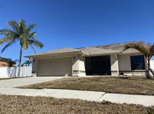 11424 Smokethorn Dr, Riverview, FL 33579