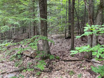 26 Valley Dam Rd #3, Center Barnstead, NH, 03225