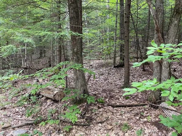 26-3 Valley Dam Road, Barnstead, NH 03225