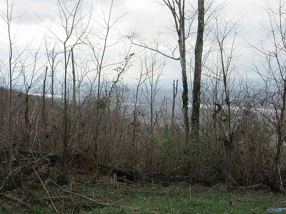 4th image of 39.28 State Highway 117