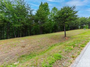 38 Deep Gap Farm Rd E #38, Mill Spring, NC 28756