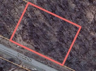 Loomis St #6, Little Falls, NY 13365