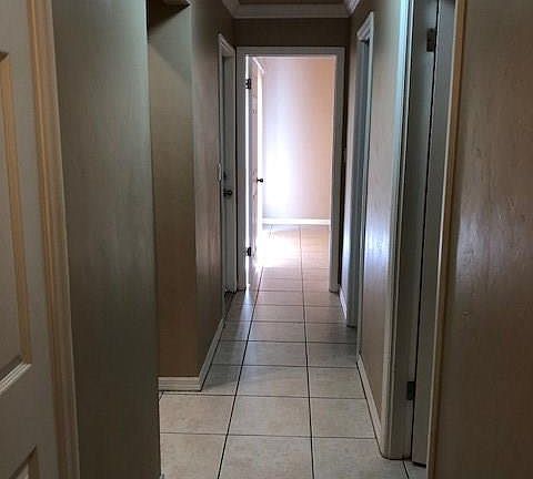 5th image of 110 Dania Cir