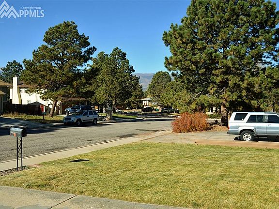 Neighborhood view - trees and well kept homes