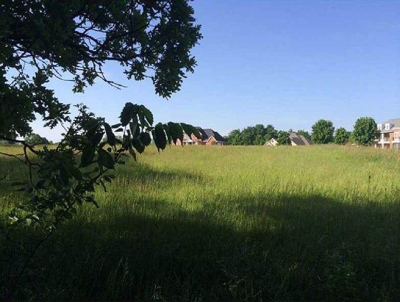 2nd image of 13451 Meadow Rdg