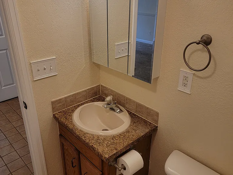 Garden level bathroom