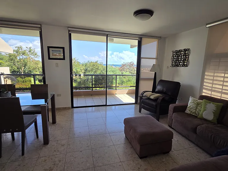 A18 La Jolla Palmas Del Mar Dr — Photo 13