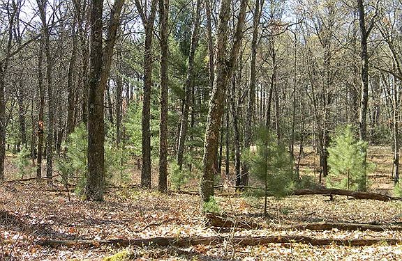 Actual photo of the property