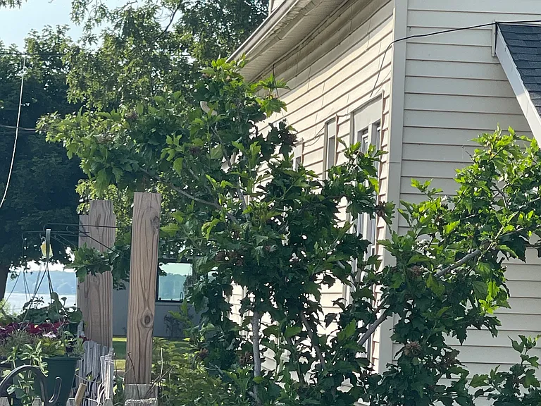 1609 McGraft St — Photo 16