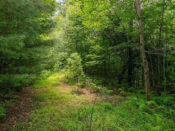 4th image of Pipers Woods Dr