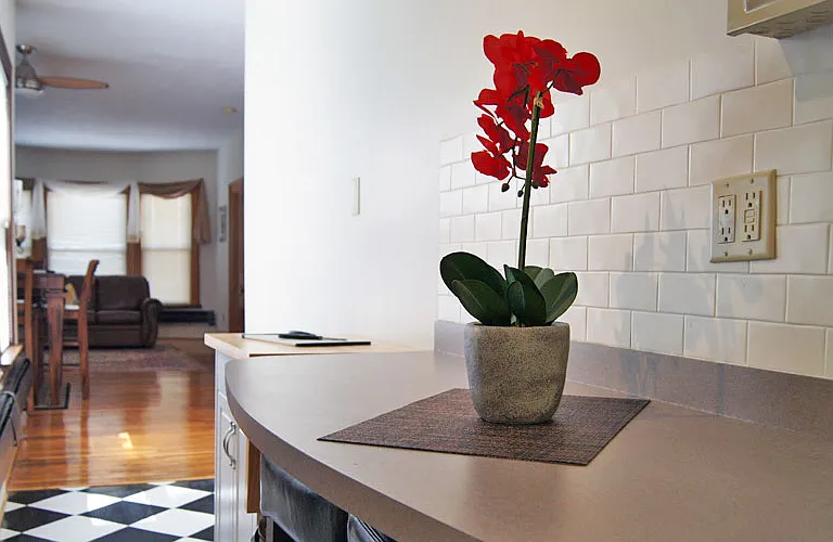 The Elmwood Village Apartments — Photo 6