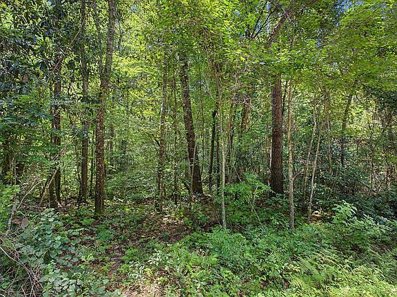 5th image of Beaver Creek Dr