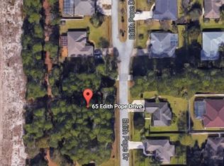 65 Edith Pope Dr, Palm Coast, FL 32164