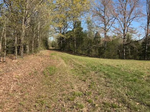 Verles King Rd, Medon, TN 38356