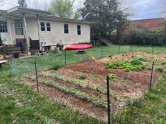 Garden space in backyard