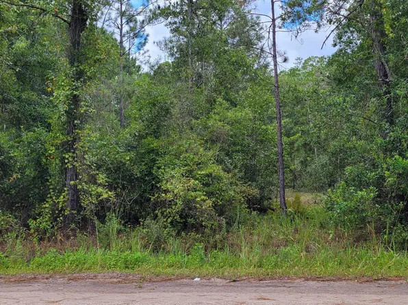 2828 Forest Park St, Bunnell, FL 32110