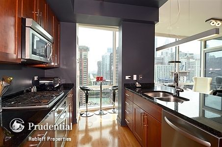 5th image of 505 N McClurg Ct APT 2505