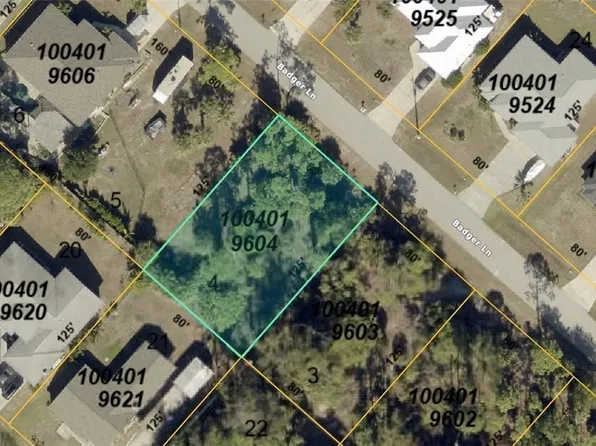 1004019604 Badger Ln, North Pt, FL 34286