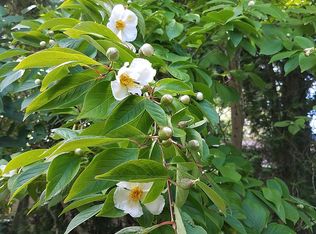 13706 19th Ave NE, Seattle, WA 98125