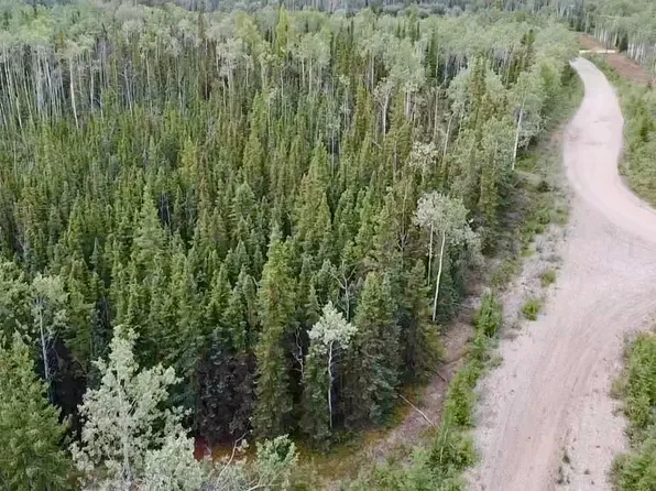 LOT 1 Clearwater Rd, Delta Junction, AK 99737