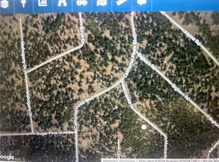 0 Manzanita Dr #79, Likely, CA 96116