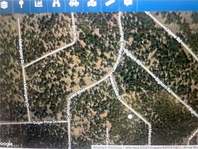 0 Manzanita Dr #79, Likely, CA, 96116