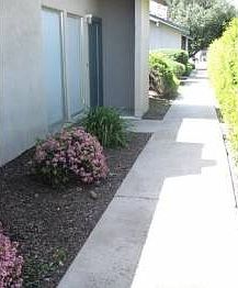 3rd image of 3504 Dragoo Park Dr APT B