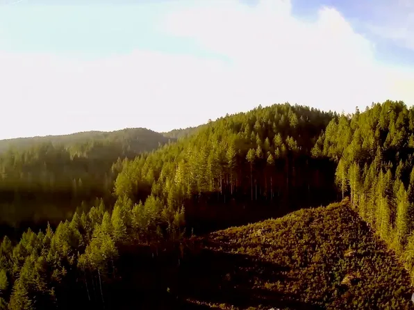 0 N US Highway 101, Shelton, WA 98584